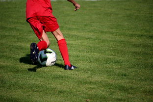 爱游戏下载-CBA是否探索俱乐部与中学合作共建训练体系，cba各俱乐部名称